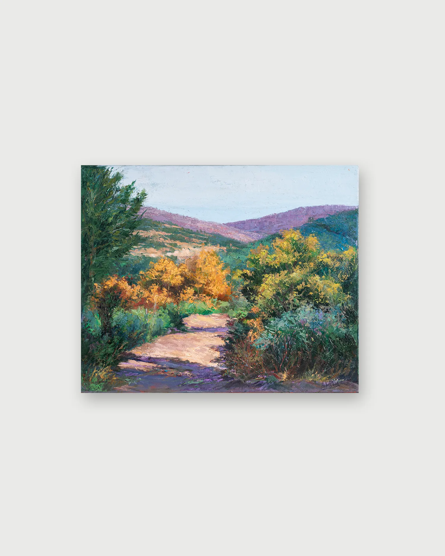Camino Viejo Cantalojas