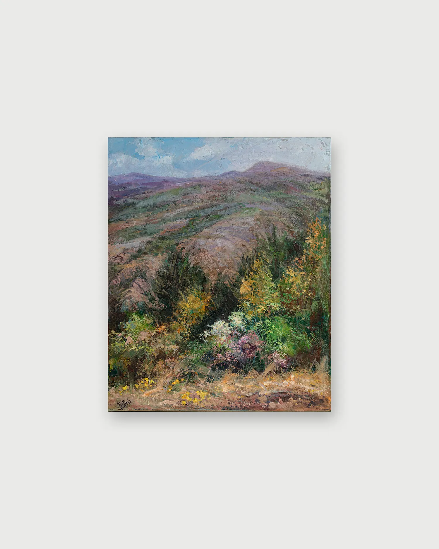 Flor de monte